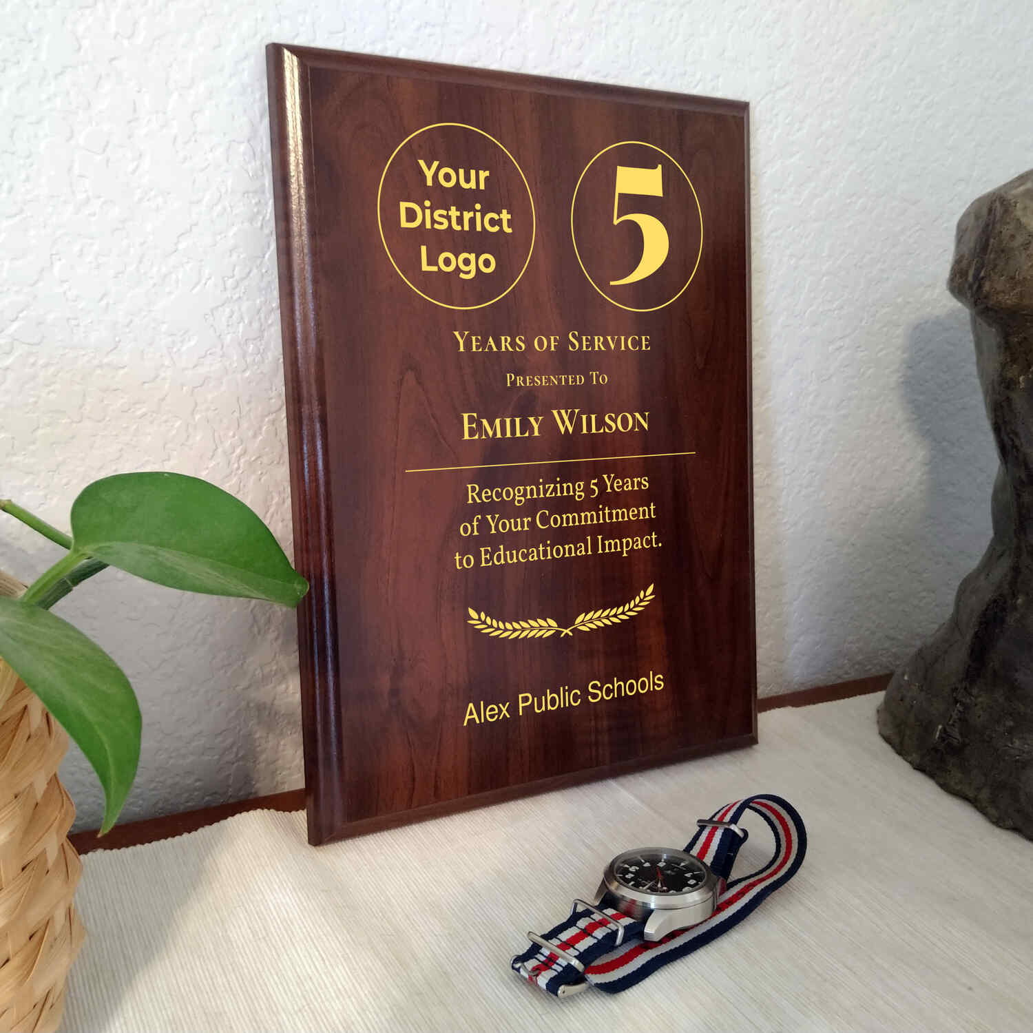 Alex Public Schools award example 4