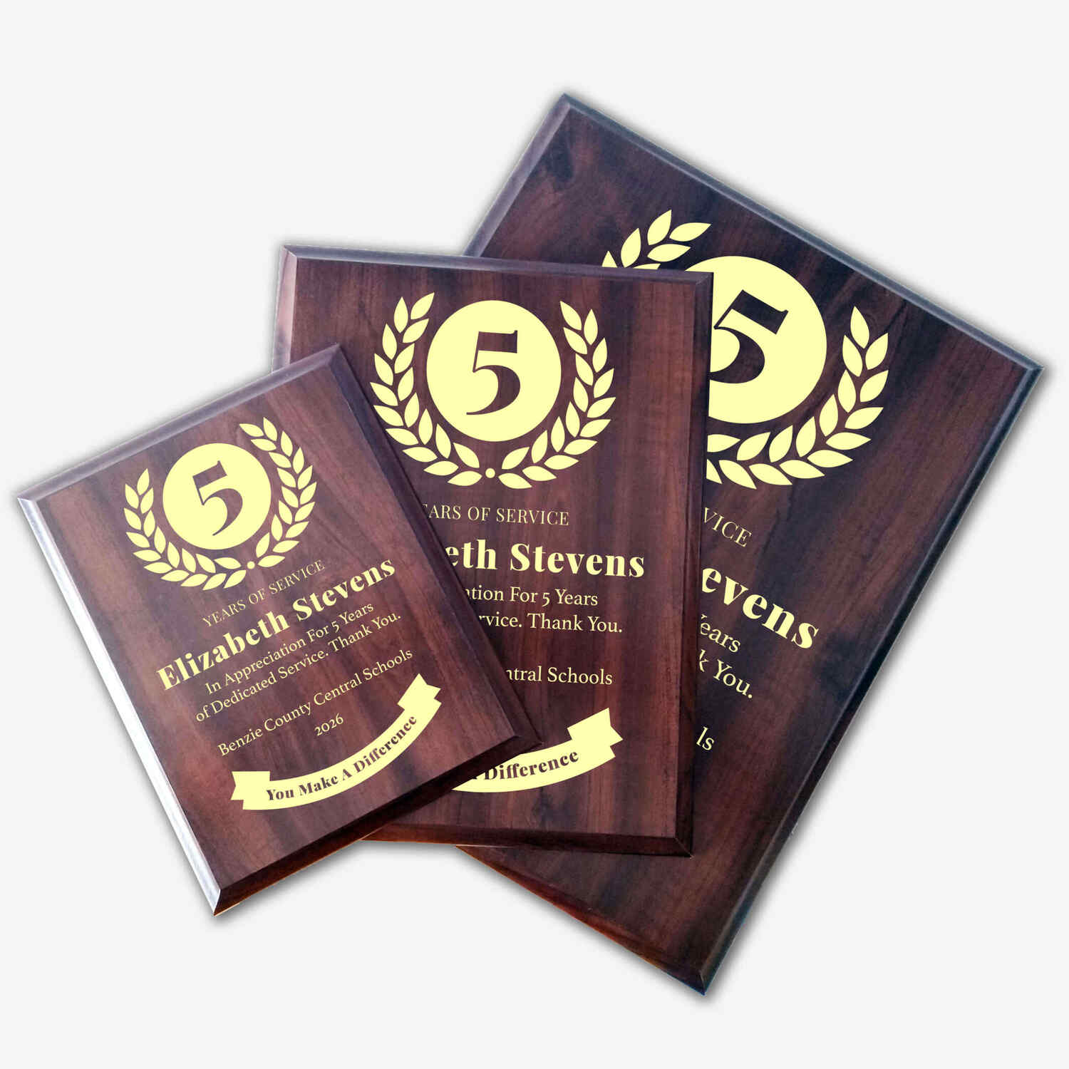 Benzie County Central Schools award example 8