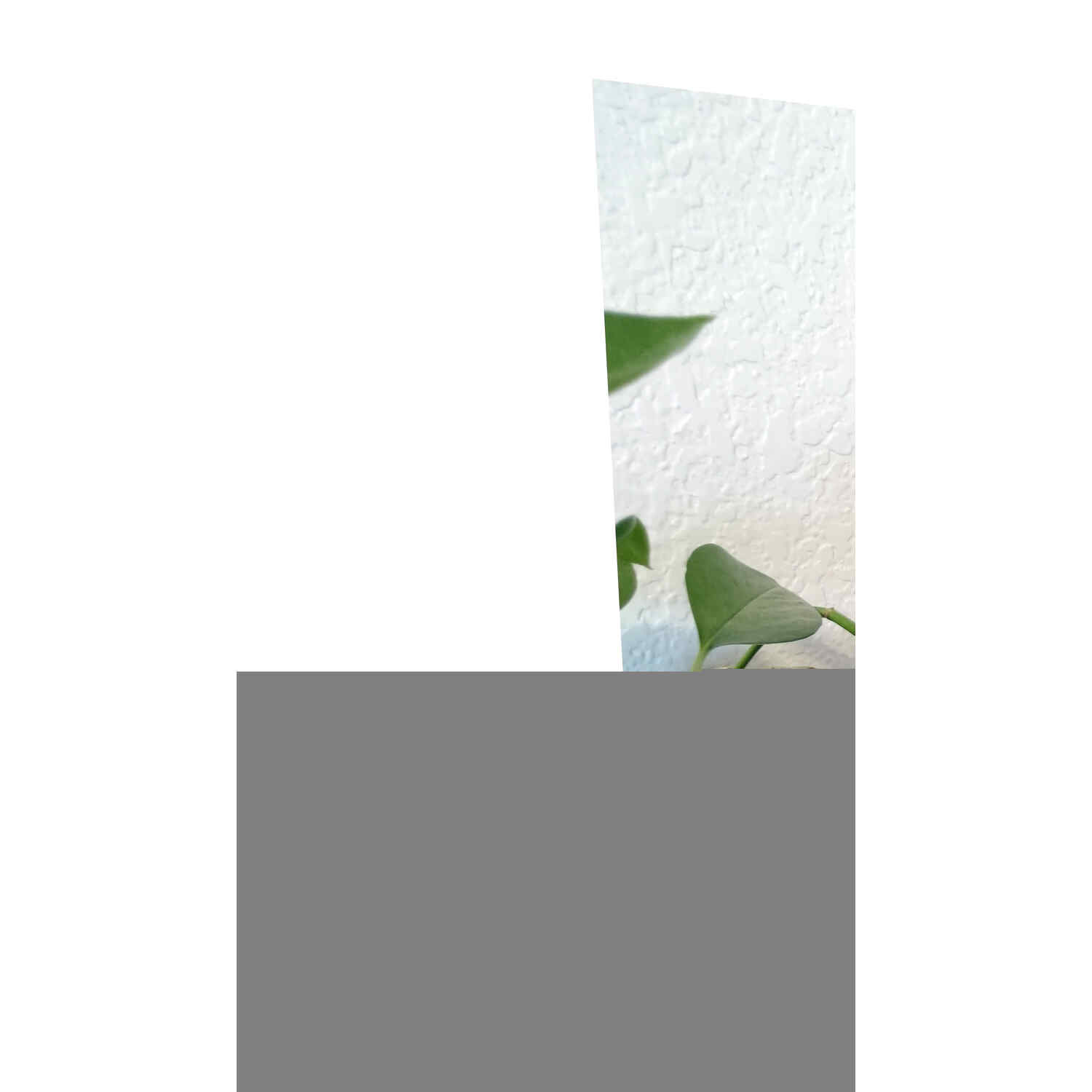 Harmony Science Academy award example 4